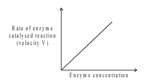 Factors affecting the Rate of Enzyme